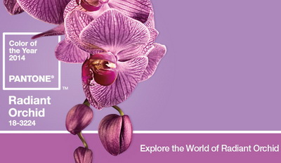 Pantone Color of the Year: Radiant Orchid